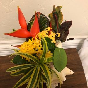 Meet your Posher, Nancy